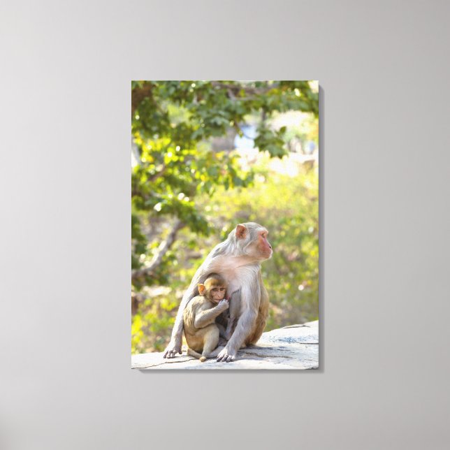 Lienzo Madre y bebé Rhesus Macaque monos en la pared (Anverso)