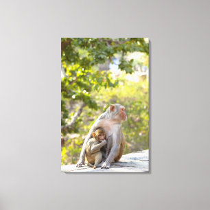 Lienzo Madre y bebé Rhesus Macaque monos en la pared