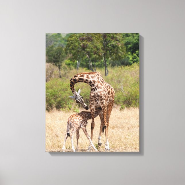 Lienzo Madre y cría de jirafa en Kenia (Anverso)