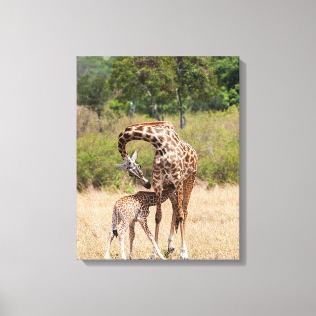 Lienzo Madre y cría de jirafa en Kenia (Anverso)