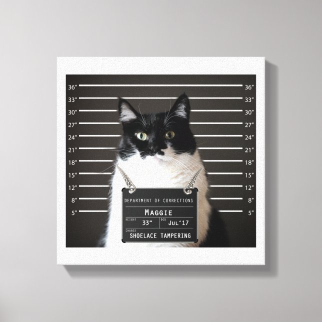 Lienzo Maggie Cat Mug Shot (Anverso)