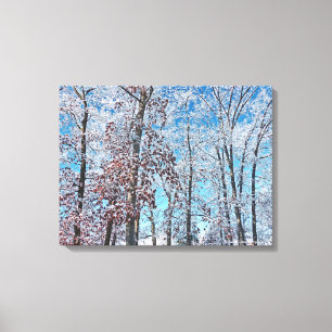 LIENZO MAGIA/ÁRBOLES DE INVIERNO DESPUÉS DE LA CAÍDA DE N