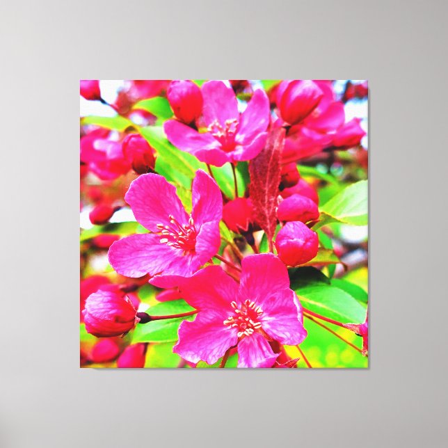 Lienzo Magnífica foto de Crabapple Red Barron (Anverso)