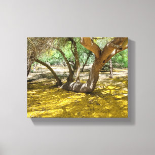 Lienzo Magnífico árbol verde palo amarillo