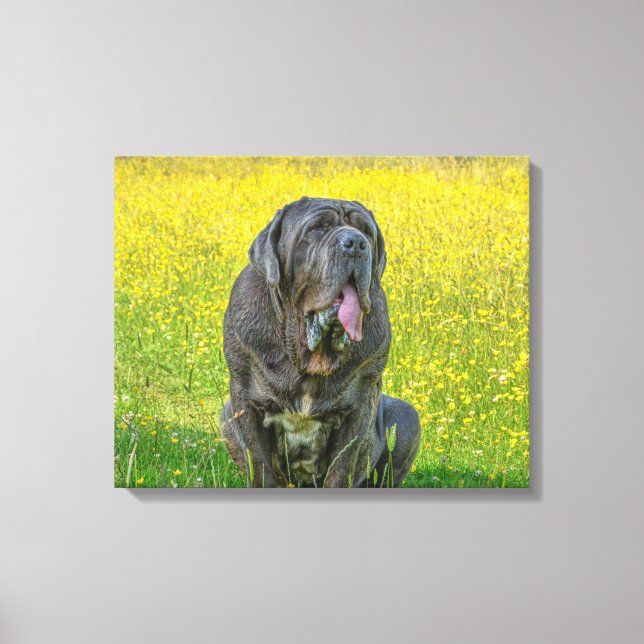 Lienzo Magnífico Mastiff napolitano (Anverso)