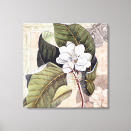 Lienzo Magnolia blanca vintage del sur