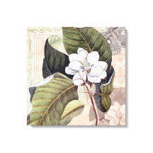 Magnolia blanca vintage del sur
