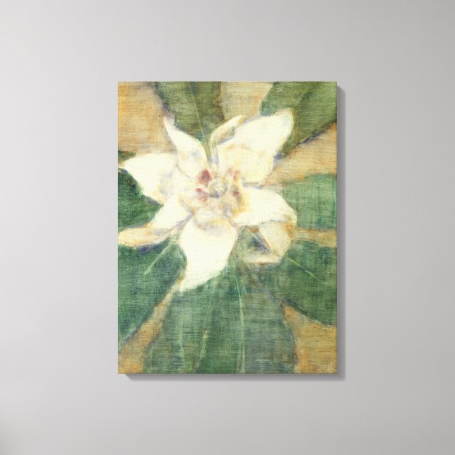 Lienzo Magnolia Grandiflora (Anverso)