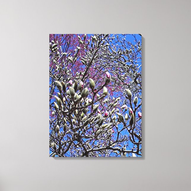 Lienzo Magnolia, masa de fiebres (Anverso)