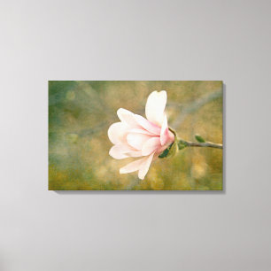 Lienzo Magnolia Queen