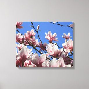 Lienzo Magnolia rosa canvas