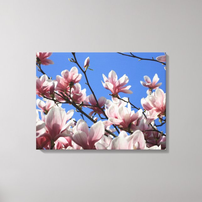 Lienzo Magnolia rosa canvas (Anverso)