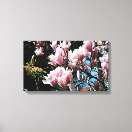 Lienzo Magnolia Spring Floral Photography Canvas 6