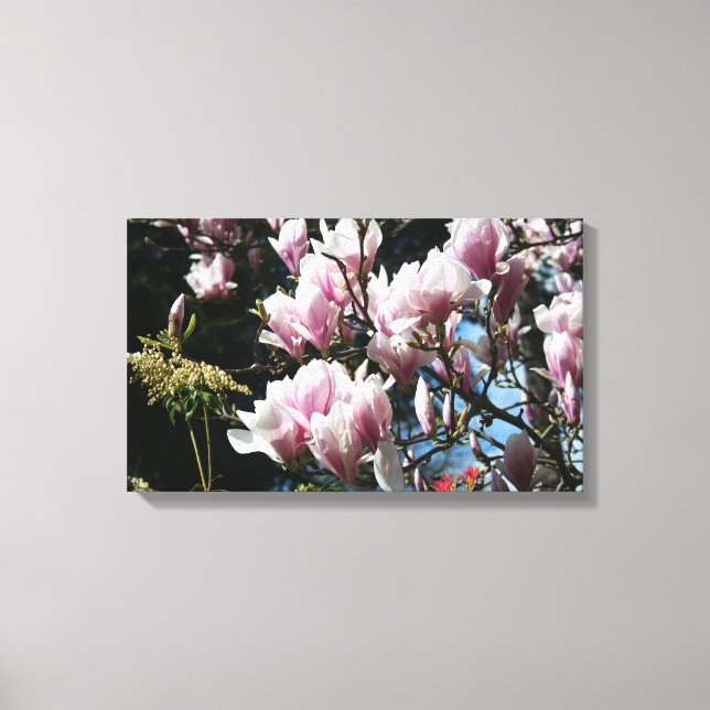 Lienzo Magnolia Spring Floral Photography Canvas 6 (Anverso)