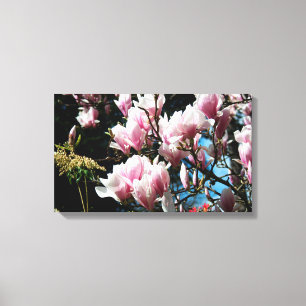 Lienzo Magnolia Spring Floral Photography Canvas 6