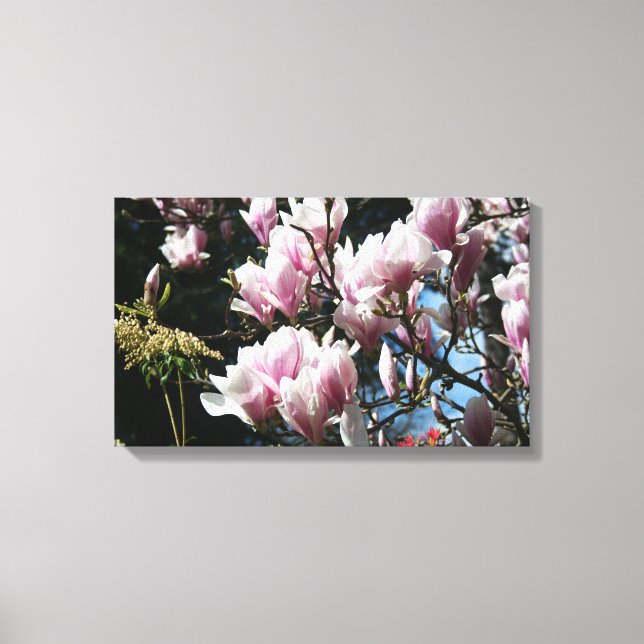 Lienzo Magnolia Spring Floral Photography Canvas 6 (Anverso)