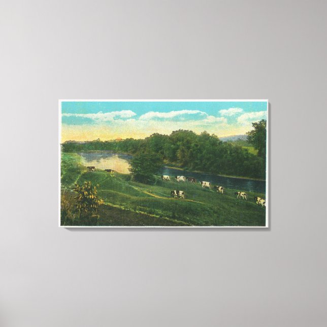 Lienzo MaineView de vacas enlazadas a casa (Anverso)