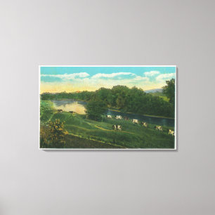 Lienzo MaineView de vacas enlazadas a casa