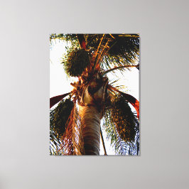 Lienzo Majestic Palm Perspective