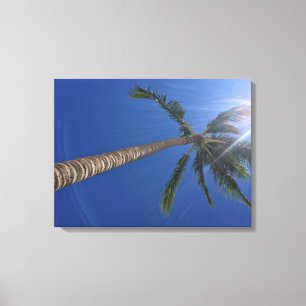 Lienzo Majestic Palm Tree con canvas Sun Rays Print