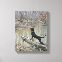 Majestuoso montículo en el río Canvas