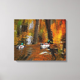 Lienzo Mallard Ducks Sobre Los Colores Del Otoño