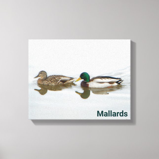 Lienzo Mallards (Anverso)