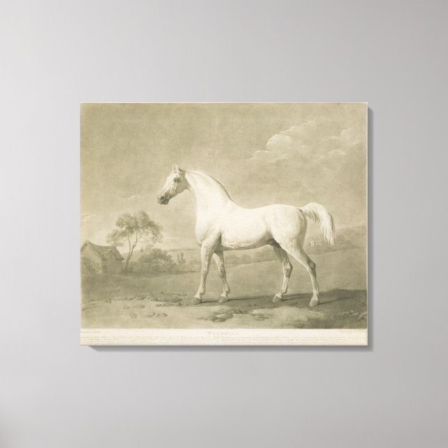 Lienzo Mambrino, después de George Stubbs, 1788 (mezzotin (Anverso)