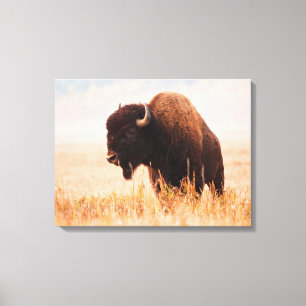 Lienzo Manada de Bisontes Americanos (Bison Bison) en Tet