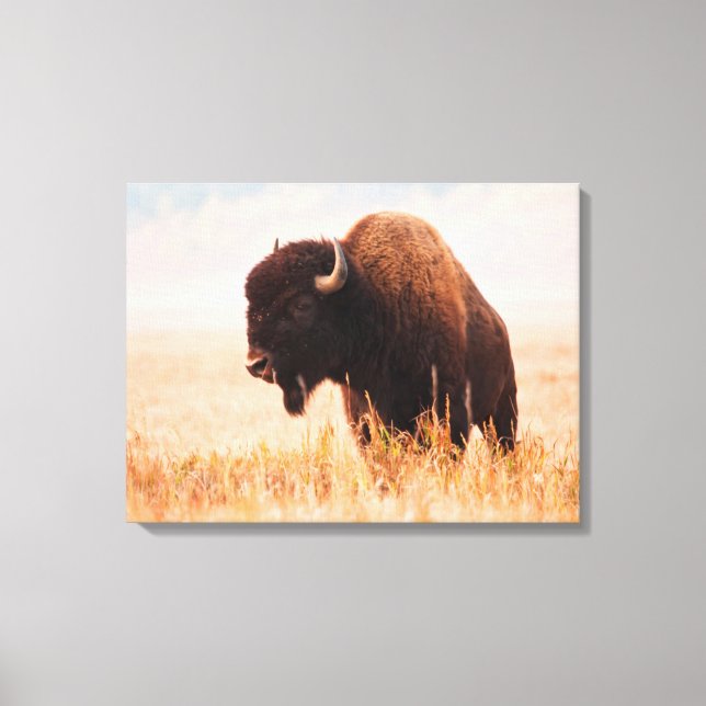 Lienzo Manada de Bisontes Americanos (Bison Bison) en Tet (Anverso)