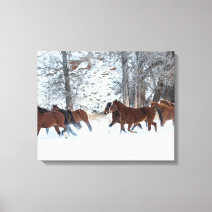 Lienzo Manada de caballos corriendo en la nieve