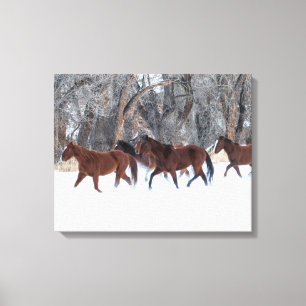 Lienzo Manada de caballos corriendo en la nieve de invier