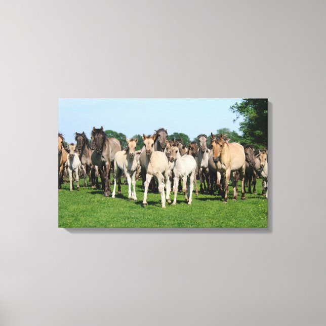 Lienzo Manada salvaje de Duelmen Ponies con zorros. (Anverso)