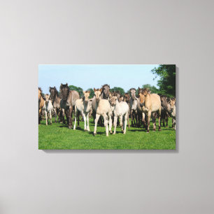 Lienzo Manada salvaje de los potros de Duelmen con los