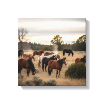 Manada Tranquila al Atardecer – Pradera de Caballo