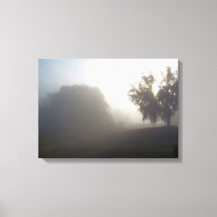 Lienzo mañana de niebla temprano justo antes del amanecer
