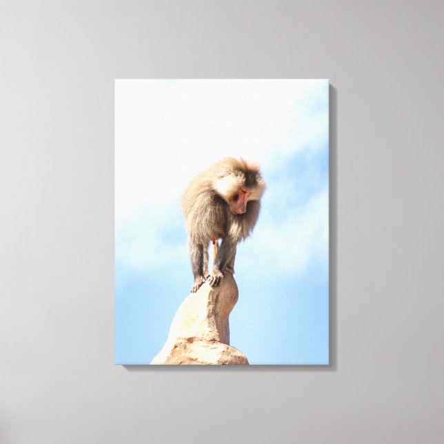 Lienzo Mandrill en la cima de una montaña (Anverso)