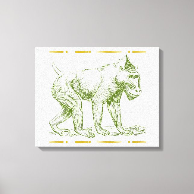 Lienzo Mandrill Monkey (Anverso)