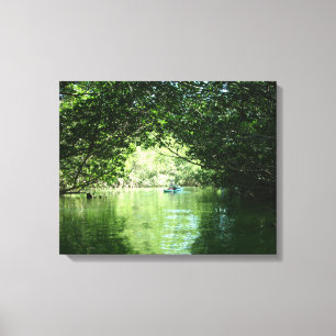 Lienzo Mangrove Kayaking