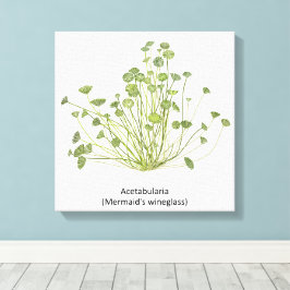 Lienzo Mano de Acetabularia (Cristal de Sirena)