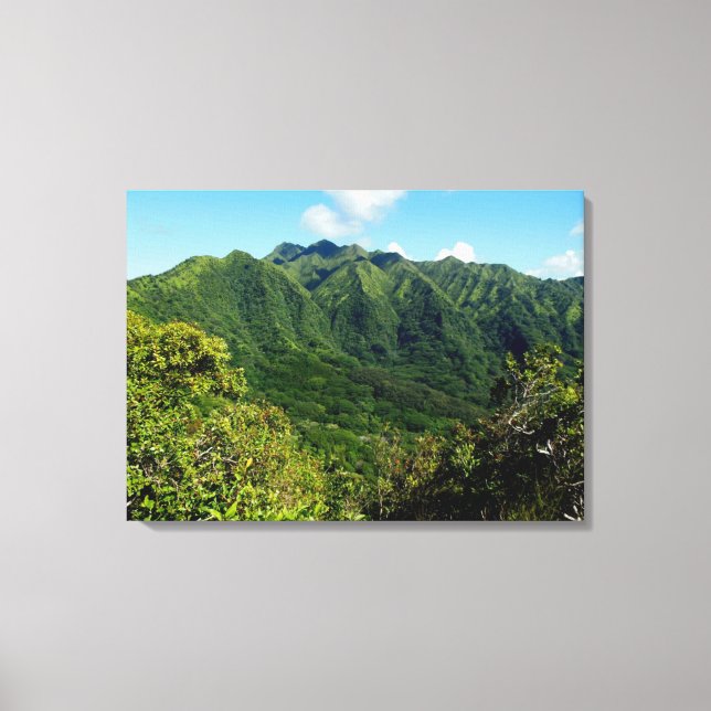 Lienzo Manoa Valley Morning (Anverso)