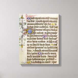 Lienzo Manuscrito iluminado