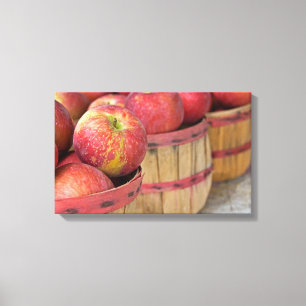 Lienzo manzanas en cestas de arbusto
