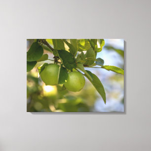 Lienzo Manzanas en rama