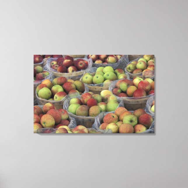 Lienzo Manzanas Macintosh del estado de Nueva York en ces (Anverso)
