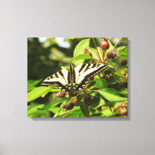 Lienzo Manzanas y mariposa