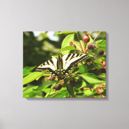 Lienzo Manzanas y mariposa