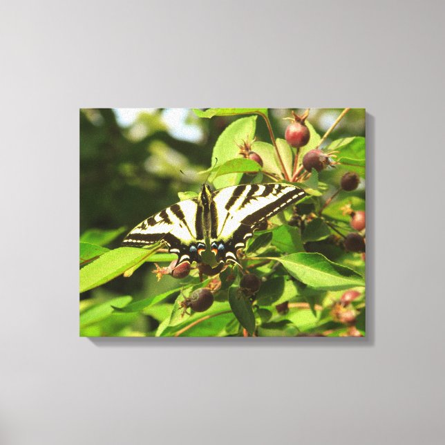 Lienzo Manzanas y mariposa (Anverso)