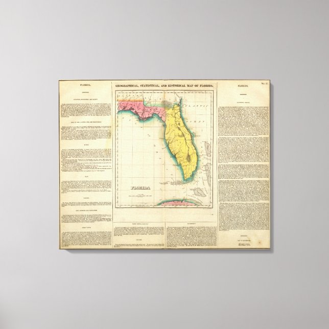 Lienzo Mapa De Florida (Anverso)