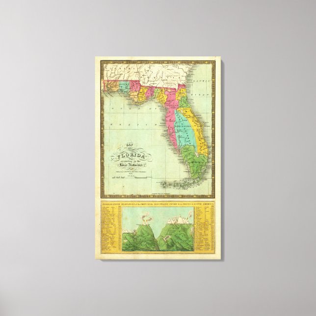 Lienzo Mapa de Florida 2 (Anverso)